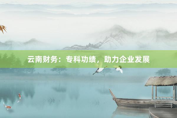 云南财务：专科功绩，助力企业发展