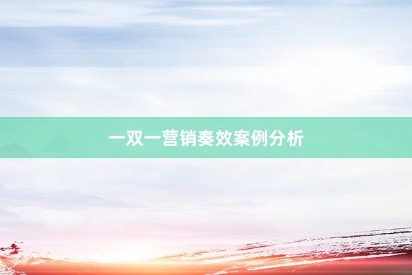 一双一营销奏效案例分析